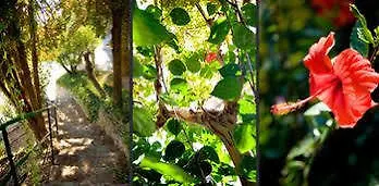 Hotell Monti E Mare Alassio