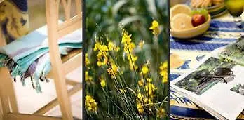 מלון Monti E Mare