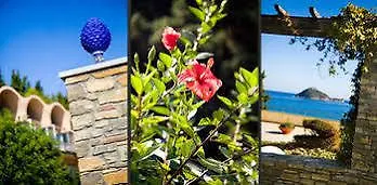 מלון Monti E Mare אלסיו